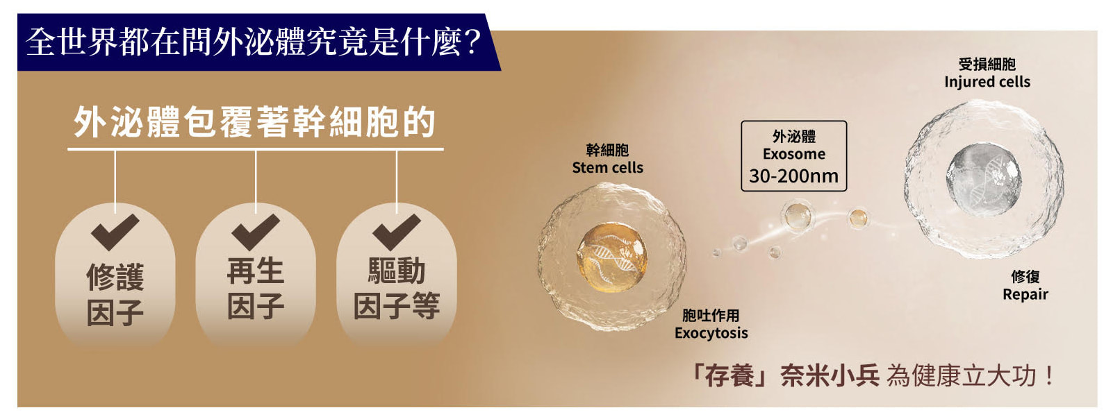0歲外泌體 圖片 5
