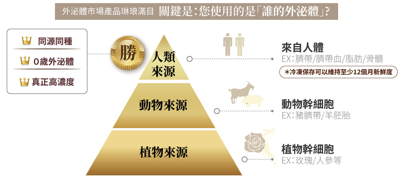0歲外泌體 圖片 8