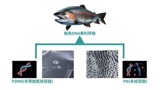 麗珠蘭 Rejuran 圖片 2