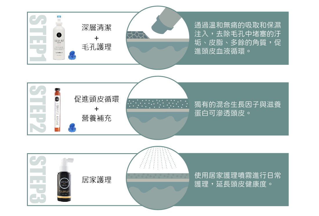 海菲秀頭皮養護 圖片 4